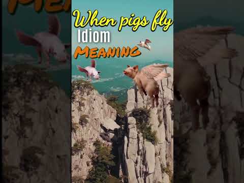 Learn english idioms: when pigs fly