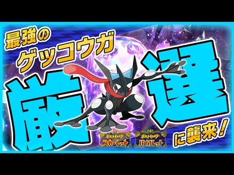 【激レア】黒い色違いゲッコウガをGETするまで終われません🐸【ポケットモンスター スカーレット・バイオレット/SV】