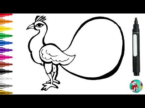 peacock drawing || How to draw peacock easy step by step #peacock #drawing and painting magic