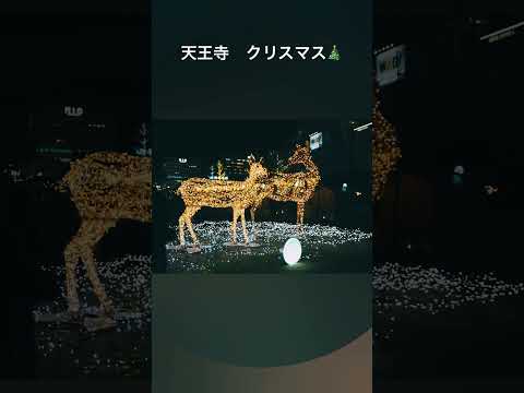 クリスマスイルミネーション　天王寺　大阪　Christmas illumination Tennouji Osaka Japan