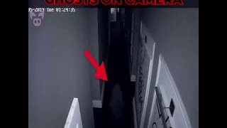 Youtubers | Who've Caught Ghosts On Camera 👻