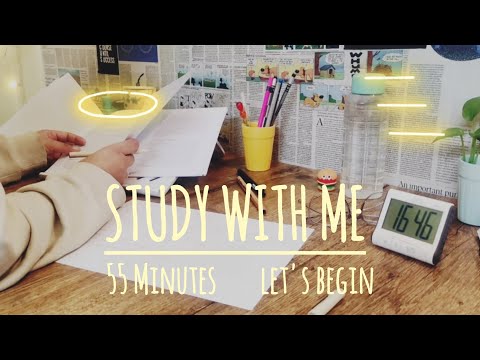 55 Min STUDY WITH ME ||  Crackling Fire || #studywithme #study || @CURIOUSMINDSCM