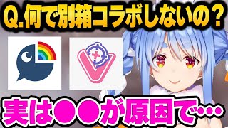 5周年を迎えて様々な事をぶっちゃける3期生が面白すぎる NGなしのマシュマロ回答まとめ【 ホロライブ 切り抜き 兎田ぺこら 宝鐘マリン 白銀ノエル 不知火フレア 】