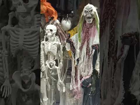 Halloween Decors | Halloween Props