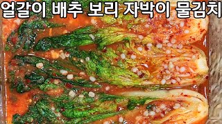 김장 하기 전에 이런거 해서 먹으면 좋습니다 /얼갈이 보리 자박이 물김치