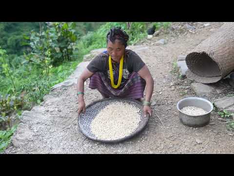 Nepali village || Brushing in the village