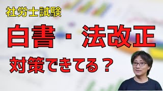 【社労士試験】白書対策と法改正対策に焦っていませんか？「勉強時間が限られているからポイントだけを教えて」にお答えする『白書対策セミナー』『法改正対策セミナー』開催決定【2024年試験対策】