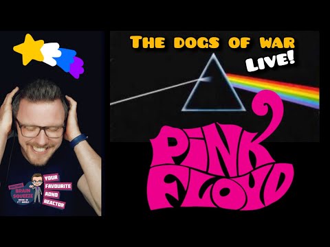 PINK FLOYD - THE DOGS OF WAR *LIVE VERSION* (ADHD REACTION) | PINK FLOYD ARE BACK!!!