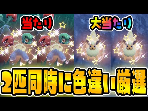 【0歩ガチャ厳選】ブースターとスコヴィランの同時色違い厳選が楽しすぎた！【ポケットモンスター スカーレット・バイオレット/SV】