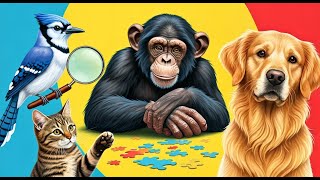 The MOST Intelligent Creatures on EARTH, Ranked! #yt