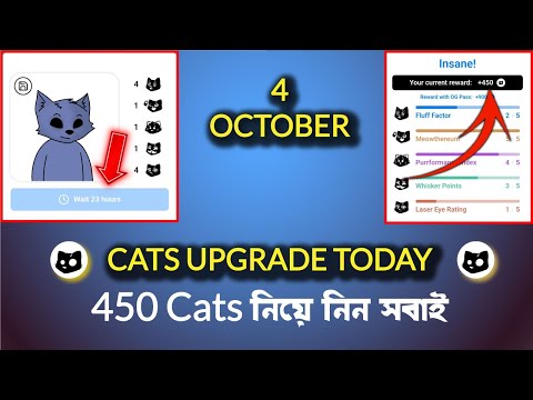 4 October upgrade cats | cat photo upload | cat avatar today