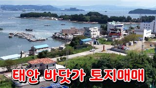 (물건97번)충남태안 토지매매 전원주택 농막 세컨하우스등 다용도 태안토지매매