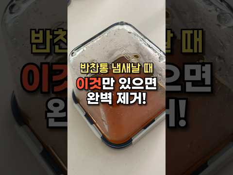 반찬통 냄새 이것만 있으면 완벽제거 김치통 김치 냄새 제거