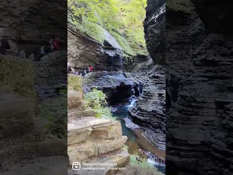 Upstate NY at Watkins Glen state park.