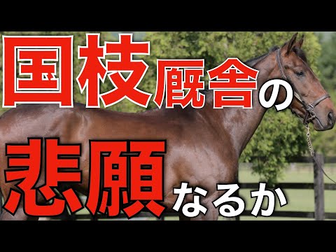 悲願の牡馬クラシック制覇なるか！国枝厩舎ラストイヤーから素質馬続出。