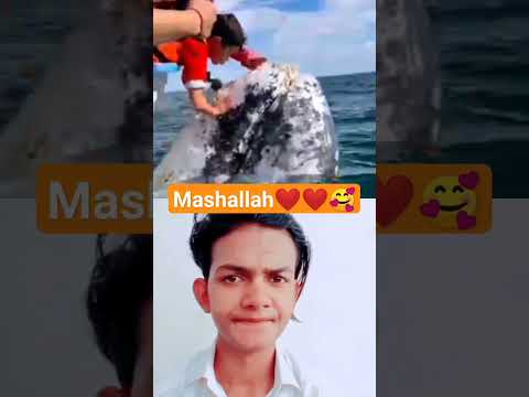 Mashallah reaction motivation #trending #motivation #reactionvideo