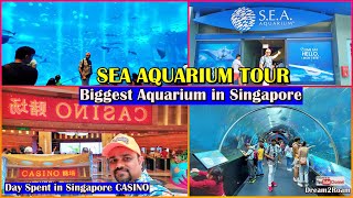 Singapore S.E.A. Aquarium Tour | Sentosa Island | Dream2Roam