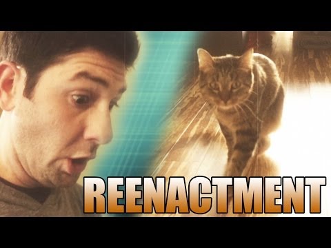 I Accidentally Peed On My Cat - A Reenactment