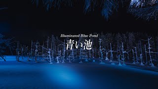 [The Blue Pond] The Blue Pond Covered with Snow is Illuminated | Shirogane, Biei