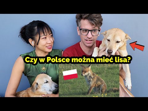 Our Reaction to 7 Polish Animals You Won't Find in America