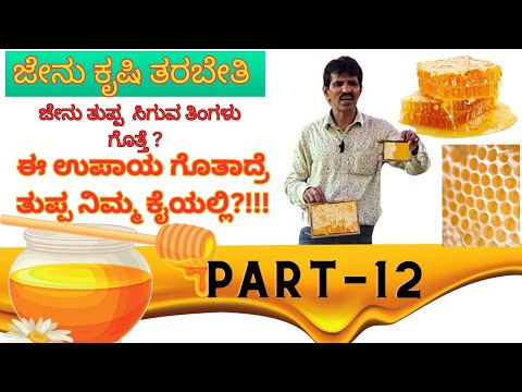 PART - 12  ಜೇನು ತುಪ್ಪ ಸಿಗುವ ತಿಂಗಳು ನಮ್ಮ ಕೆಲಸ ಹೇಗಿರಬೇಕು? |  Tricks to get Honey in large quantity