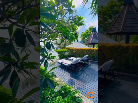 Tropical Tranquility in Koh Samui