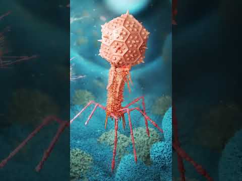 Tiny Heroes: Phages Unleashed #curiousminds #MicroscopicMarvels #Bacteriophages # #shorts