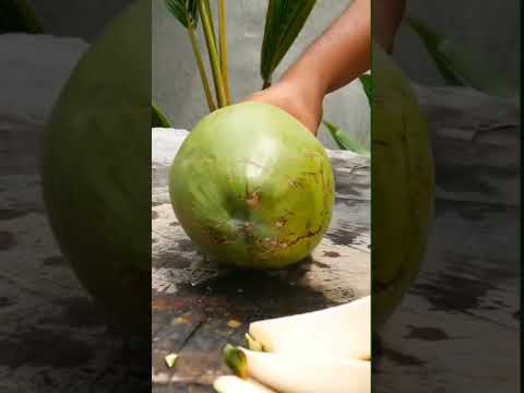 "Mind-Blowing Coconut Cutting Techniques! 🥥🔪 #CoconutSkills #FoodieMagic #Shorts"