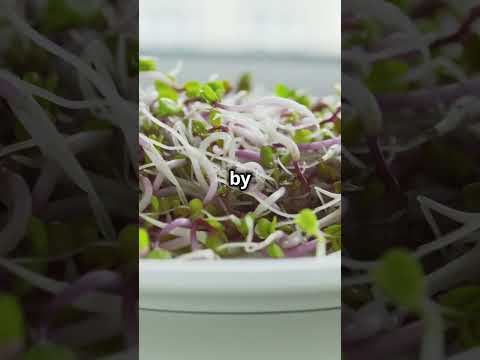 Microgreens Farming: The Secret to Big Profits! #MicrogreensFarming #FarmProfits #Agriculture