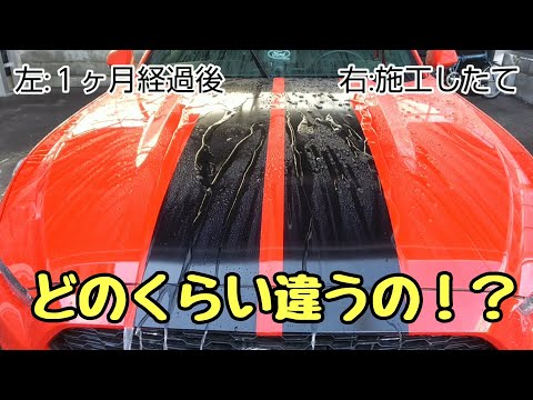 CCウォーターゴールド 気になる耐久性は！？１ヶ月経過後と施工直後を比較してみた！