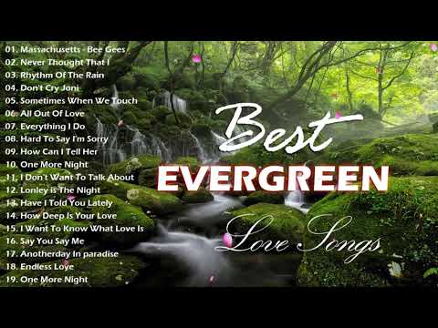 Best Evergreen Sentimental Love Song  Relaxing Oldies Music Collection Best Love Song