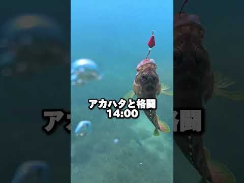 生き物系YouTuber水ラーメンの一日