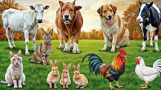 Familiar Animal Sounds: Duck, Cow, Dog, Buffalo, Chicken, Pig, Sheep, Cat - Animal Moments#animals