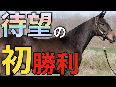 ついに初勝利！あの新種牡馬が本領を発揮するのはここからだ。