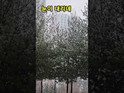 눈이내리네. 2025.01.13 경기 양주