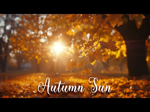 Instrumental Acoustic Music - Autumn Sun