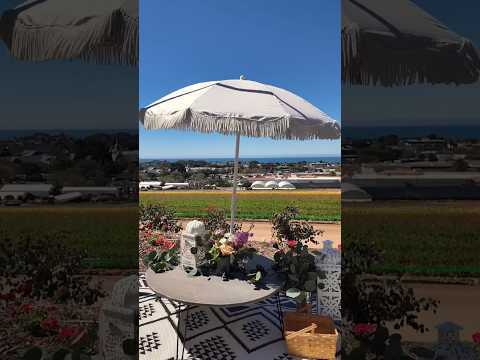 Picnic at the Flower Fields Carlsbad | #flowerfield #spring #picnic #carlsbad