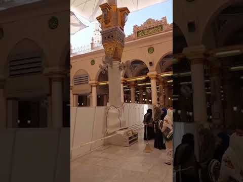 #madinah #riyazul_jannah #ytshots #youtubeshorts #viralshorts2023 #travel #religion #airport