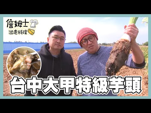 《精選詹姆士棒的-特輯EP36》台中大甲特級芋頭!芋粿巧、芋梗傳統阿嬤農家菜大公開