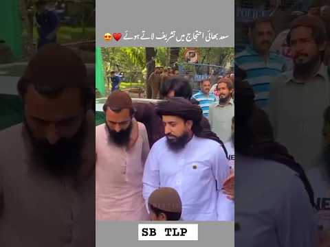 ALLAMA SAAD HUSSAIN RIZVI NEW VIDEO #sbtlp #shots #tlp #foryou #tranding