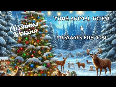 DECEMBER READING PREDICTIONS 🎄 MESSAGES FOR YOU