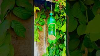 How to make bird feeder #birdcraft #diy #plastic #craft plasticbottle