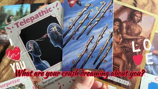 What are your crush dreaming about you?👩‍❤️‍💋‍👨 Hindi tarot card reading💞Crush current feelings