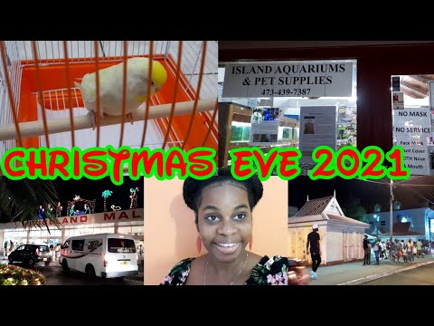 CHRISTMAS EVE 2021 VLOG!!!!! WE GOT A NEW PET!!!!! VLOGMAS GRENADA DAY 25!!!!!