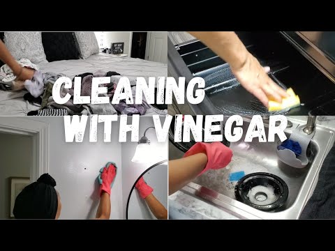 DEEP CLEANING | STOVE CARE #heinzvinegar