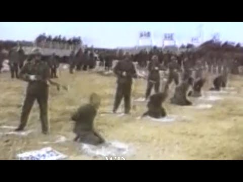 EXECUTION Compilation! Brutal Executions China, Palestine, Iraq, Turkish Cyprus,  DR Congo & USA