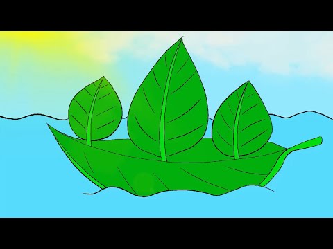 Leaf boat ( what is inside the boat? )