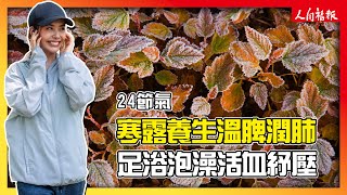 【24節氣】寒露養生溫脾潤肺　足浴泡澡活血紓壓