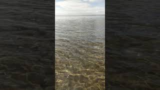 Ayr Beach | Ayrshire, Scotland | ASMR | #asmr #scotland