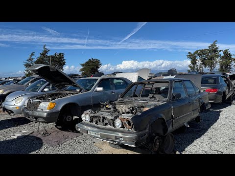 Tour of German Car Section at Junkyard near Monterey California